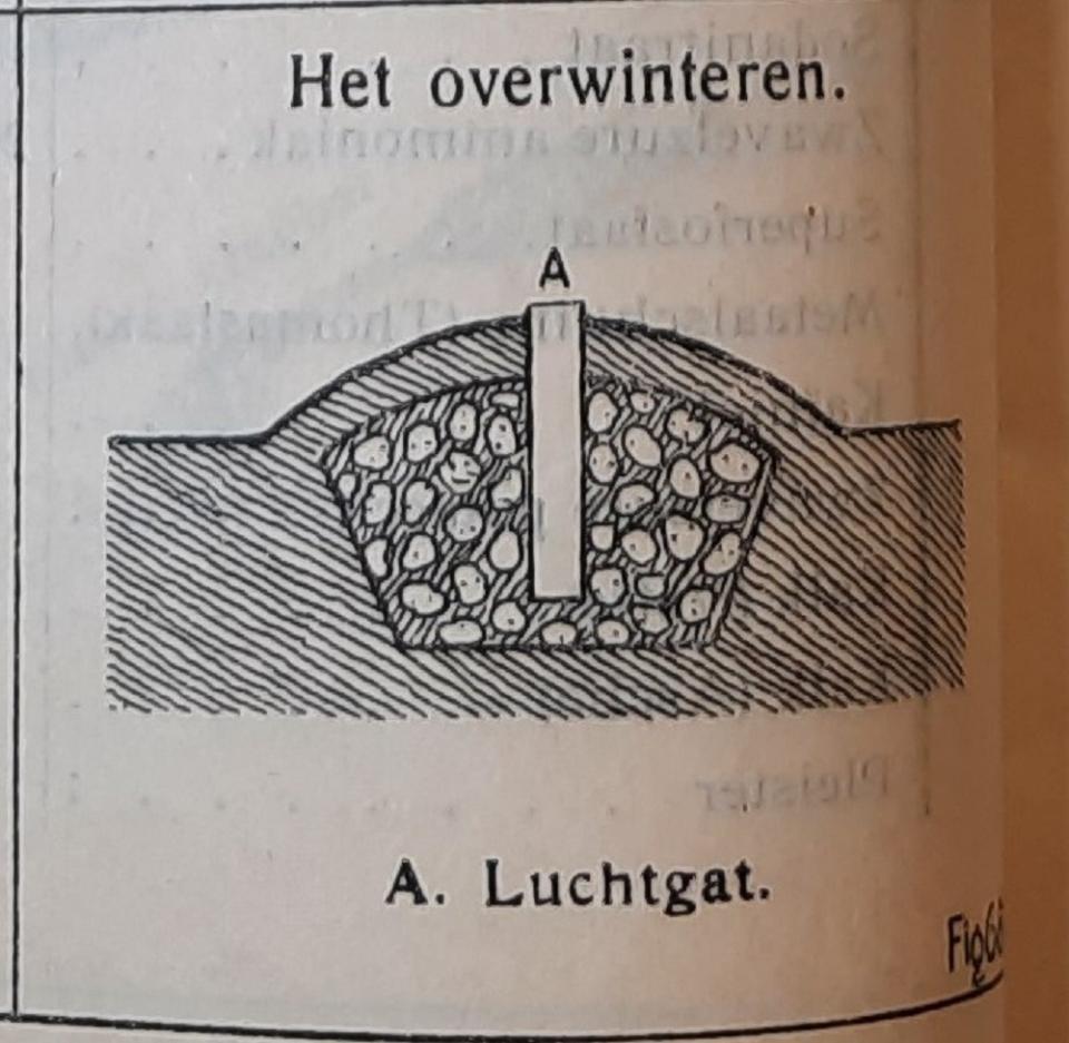 Tekening van ingekuilde aardappelen.